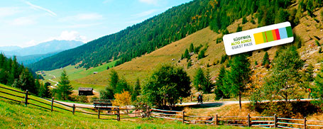 Almencard Gitschberg Jochtal